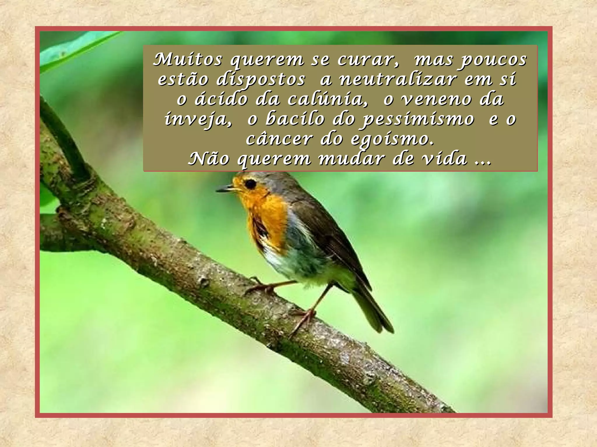 Muitos querem se curar, mas poucos
Muitos querem se curar, mas poucos
estão dispostos a neutralizar em si
estão dispostos a neutralizar em si
  o ácido da calúnia, o veneno da
   o ácido
 inveja, o bacilo do pessimismo e o
 inveja,    bacilo do pessimismo e o
          câncer do egoísmo.
          câncer do egoísmo.
    Não querem mudar de vida ...
    Não querem mudar de vida ...
 
