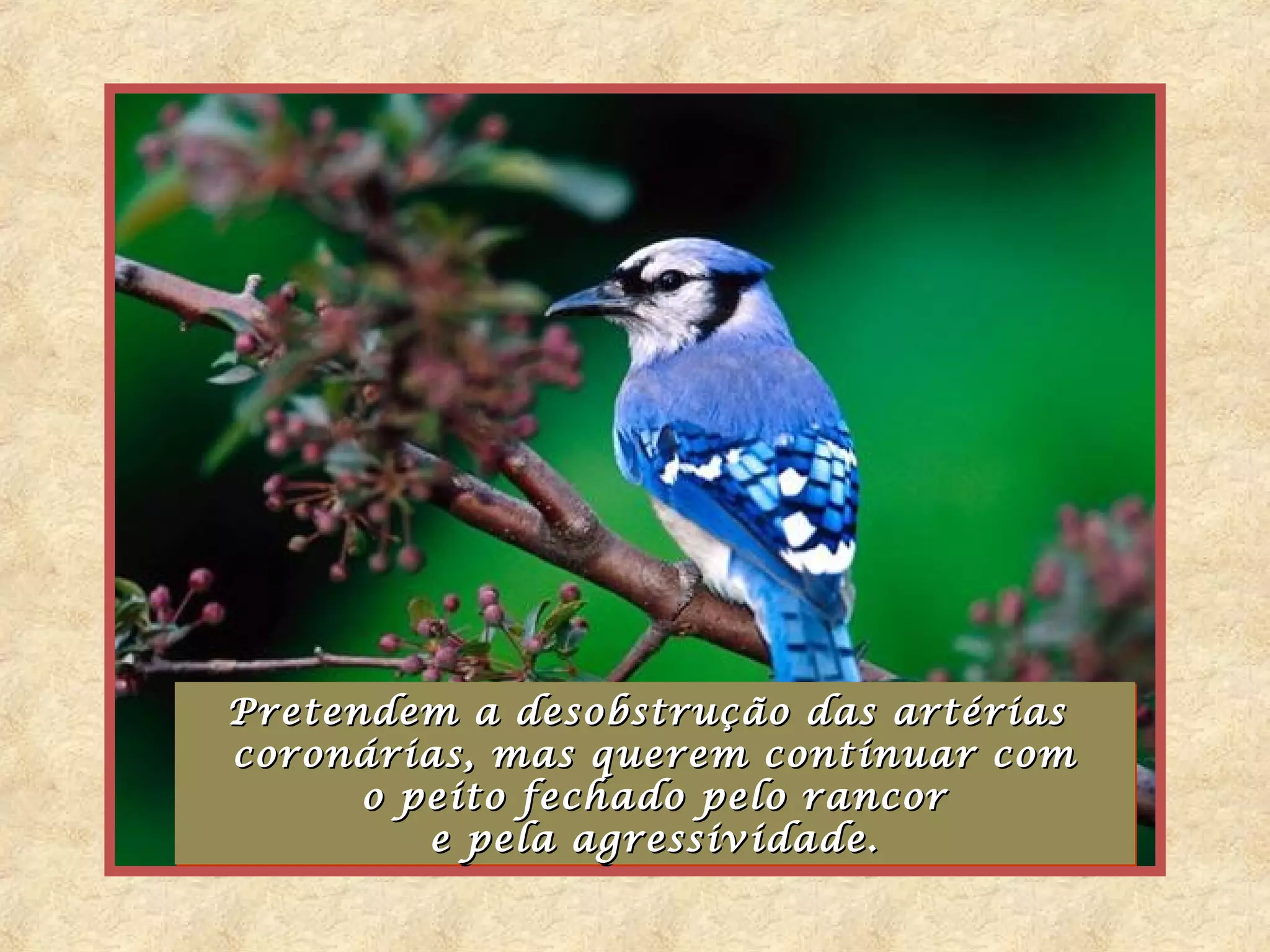 Pretendem a desobstrução das artérias
Pretendem a desobstrução das artérias
coronárias, mas querem continuar com
coronárias, mas          continuar com
      o peito fechado pelo rancor
      o peito fechado pelo rancor
         e pela agressividade.
         e pela agressividade.
 