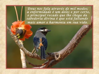 Deus nos fala através de mil modos;
a enfermidade é um deles e por certo,
 o principal recado que lhe chega da
sabedoria divina é que está faltando
 mais amor e harmonia em sua vida .
 