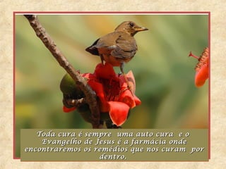 Toda cura é sempre uma auto cura e o
   Toda cura é sempre uma auto cura e o
    Evangelho de Jesus é a farmácia onde
    Evangelho de Jesus é a farmácia onde
encontraremos os remédios que nos curam por
encontraremos os remédios que nos curam por
                  dentro.
                   dentro.
 