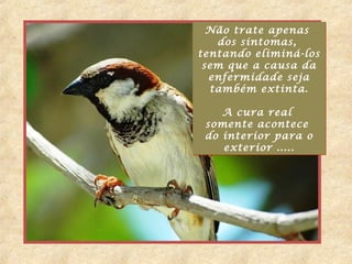 Não trate apenas
   dos sintomas,
tentando eliminá-los
 sem que a causa da
  enfermidade seja
  também extinta.

    A cura real
 somente acontece
 do interior para o
    exterior .....
 