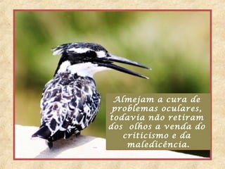 Almejam a cura de
problemas oculares,
todavia não retiram
dos olhos a venda do
criticismo e da
maledicência.
Almejam a cura de
problemas oculares,
todavia não retiram
dos olhos a venda do
criticismo e da
maledicência.
 