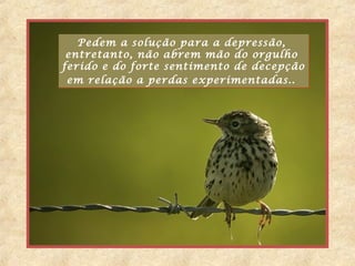 Pedem a solução para a depressão,
entretanto, não abrem mão do orgulho
ferido e do forte sentimento de decepção
em relação a perdas experimentadas..
Pedem a solução para a depressão,
entretanto, não abrem mão do orgulho
ferido e do forte sentimento de decepção
em relação a perdas experimentadas..
 