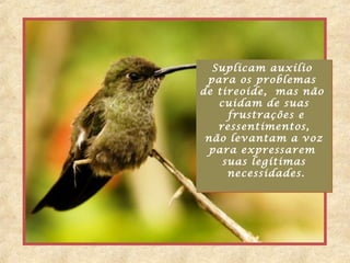 Suplicam auxílio
para os problemas
de tireoide, mas não
cuidam de suas
frustrações e
ressentimentos,
não levantam a voz
para expressarem
suas legítimas
necessidades.
Suplicam auxílio
para os problemas
de tireoide, mas não
cuidam de suas
frustrações e
ressentimentos,
não levantam a voz
para expressarem
suas legítimas
necessidades.
 