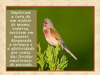 Imploram
a cura de
um nódulo
de mama,
todavia,
insistem em
manter
bloqueada
a ternura e
a afetividade
por conta
das feridas
emocionais
do passado.
Imploram
a cura de
um nódulo
de mama,
todavia,
insistem em
manter
bloqueada
a ternura e
a afetividade
por conta
das feridas
emocionais
do passado.
 