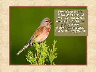 Sim, diga a seuSim, diga a seu
médico que vocêmédico que você
tem dor no peito,tem dor no peito,
mas diga tambémmas diga também
que sua dorque sua dor
é dor de tristeza,é dor de tristeza,
é dor de angústia.é dor de angústia.
Sim, diga a seuSim, diga a seu
médico que vocêmédico que você
tem dor no peito,tem dor no peito,
mas diga tambémmas diga também
que sua dorque sua dor
é dor de tristeza,é dor de tristeza,
é dor de angústia.é dor de angústia.
 