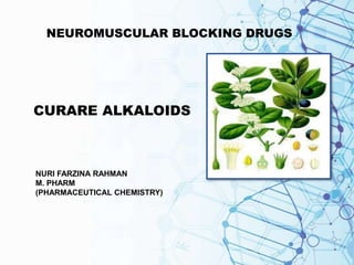 NEUROMUSCULAR BLOCKING DRUGS
CURARE ALKALOIDS
NURI FARZINA RAHMAN
M. PHARM
(PHARMACEUTICAL CHEMISTRY)
 
