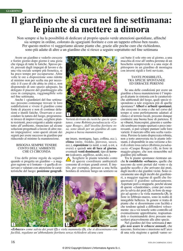 Giardino che si cura nel fine settimana: le piante da mettere a dimora ...