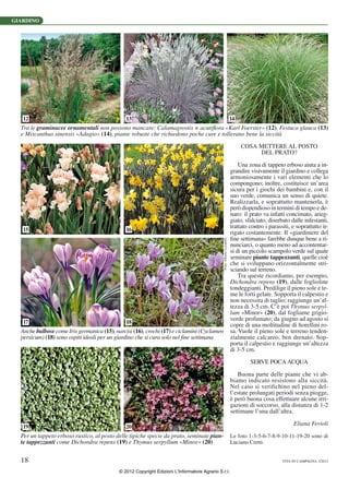 Giardino che si cura nel fine settimana: le piante da mettere a dimora ...