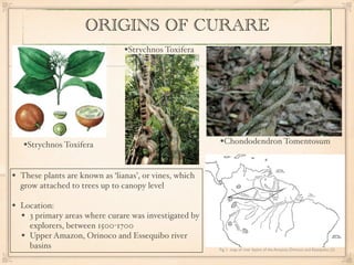 Curare Presentation | KEY
