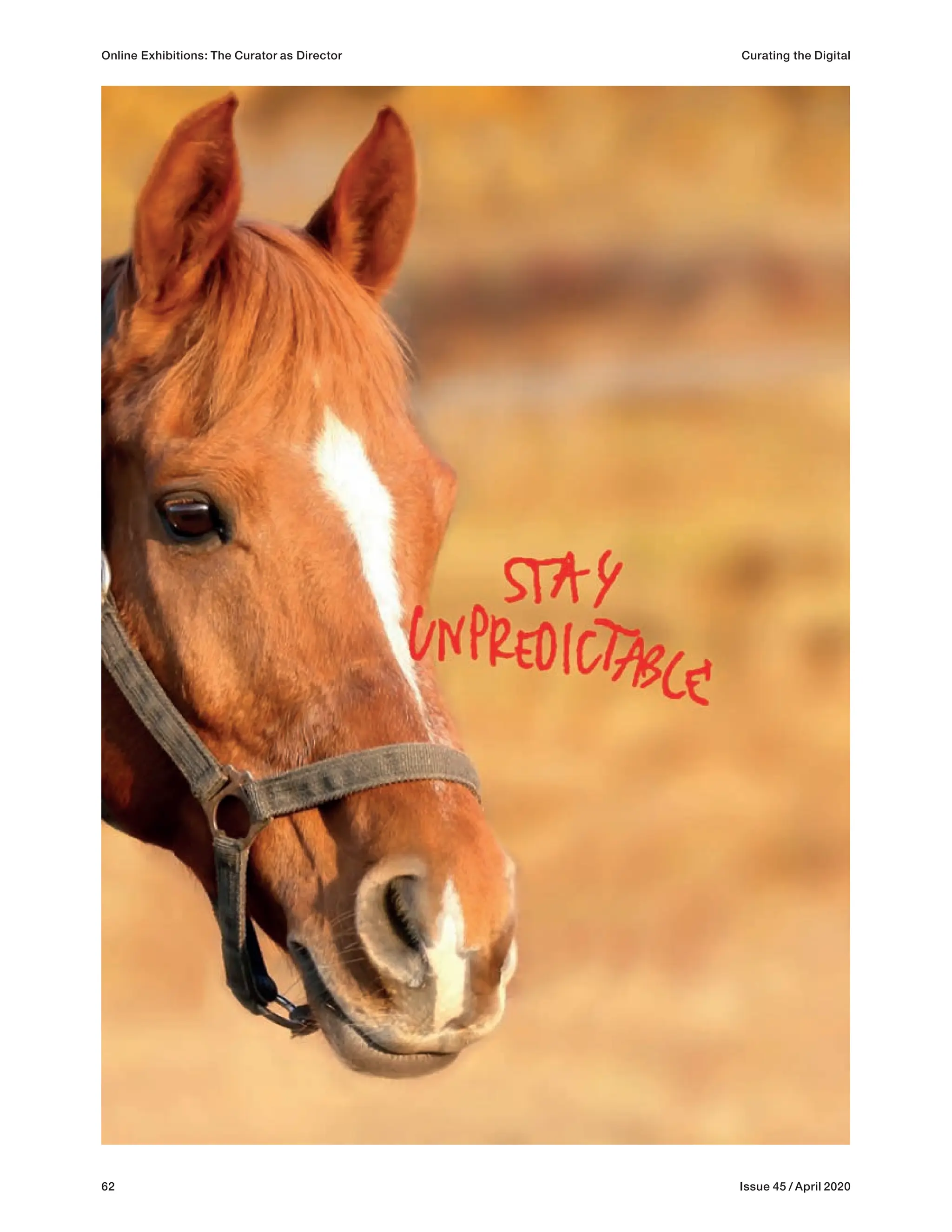 62 Issue 45 / April 2020
Online Exhibitions: The Curator as Director Curating the Digital
 