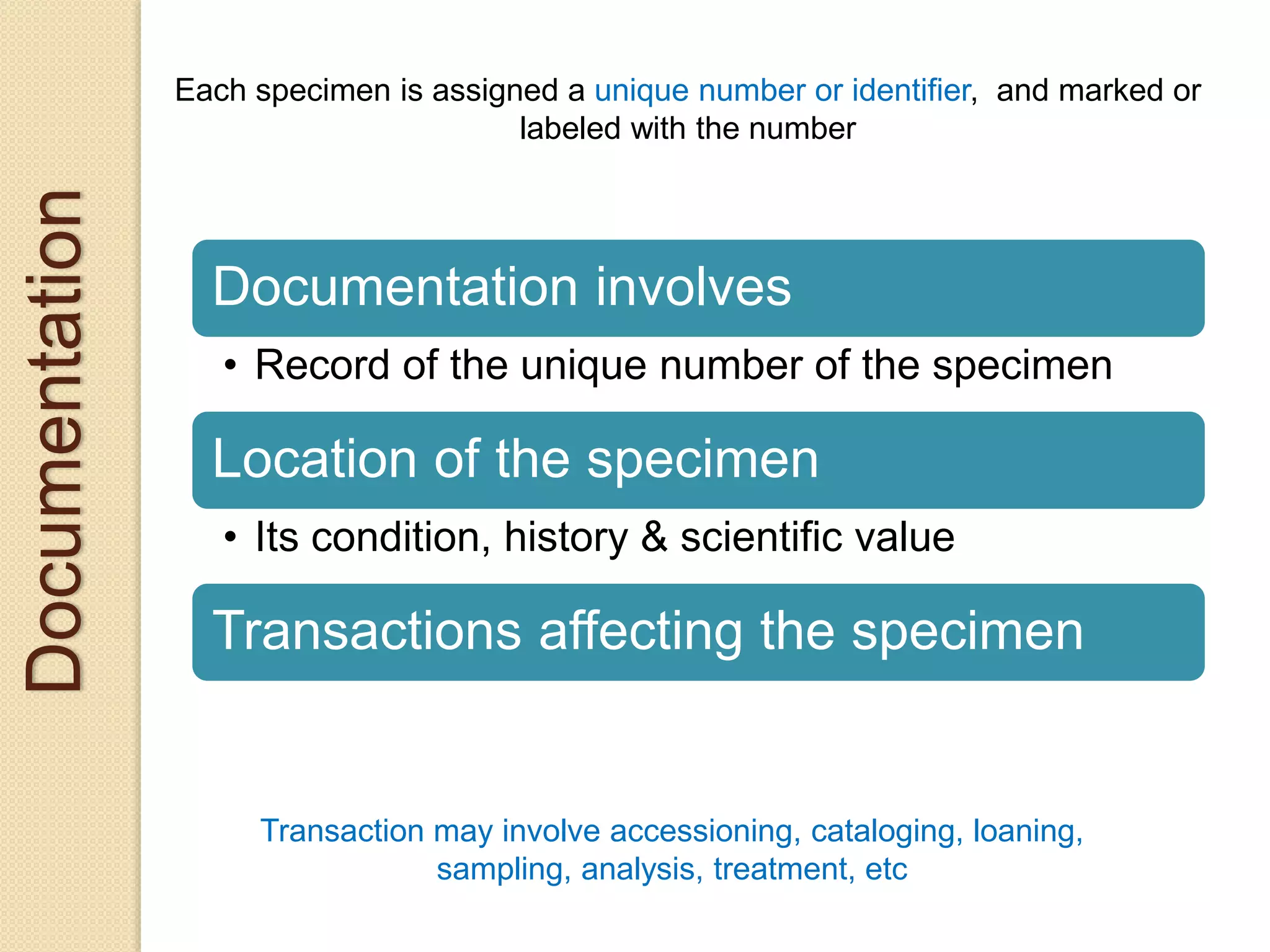 Documentation Each specimen is assigned a unique number or identifier, and marked or
labeled with the number
Documentation involves
• Record of the unique number of the specimen
Location of the specimen
• Its condition, history & scientific value
Transactions affecting the specimen
Transaction may involve accessioning, cataloging, loaning,
sampling, analysis, treatment, etc
 