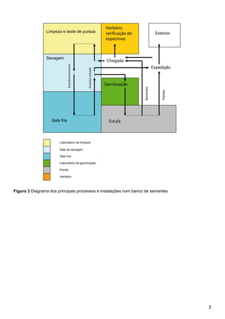 Figura 3 Diagrama dos principais processos e instalações num banco de sementes
Plantas
Sementes
Limpeza e teste de pureza
Secagem
Laboratório de limpeza
Estufa
Herbário
Expedição
Sala fria
Amostraretirada
Herbário
verificação de
espécimes
Chegada
Germinação
Estufa
Exterior
Sala de secagem
Sala fria
Laboratório de germinação
Acondicionamento
 