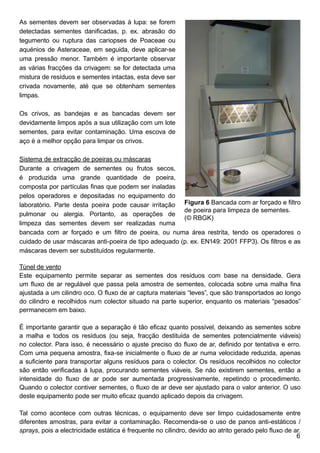 As sementes devem ser observadas à lupa: se forem
detectadas sementes danificadas, p. ex. abrasão do
tegumento ou ruptura das cariopses de Poaceae ou
aquénios de Asteraceae, em seguida, deve aplicar-se
uma pressão menor. Também é importante observar
as várias fracções da crivagem: se for detectada uma
mistura de resíduos e sementes intactas, esta deve ser
crivada novamente, até que se obtenham sementes
limpas.
Os crivos, as bandejas e as bancadas devem ser
devidamente limpos após a sua utilização com um lote
sementes, para evitar contaminação. Uma escova de
aço é a melhor opção para limpar os crivos.
Sistema de extracção de poeiras ou máscaras
Durante a crivagem de sementes ou frutos secos,
é produzida uma grande quantidade de poeira,
composta por partículas finas que podem ser inaladas
pelos operadores e depositadas no equipamento do
laboratório. Parte desta poeira pode causar irritação
pulmonar ou alergia. Portanto, as operações de
limpeza das sementes devem ser realizadas numa
bancada com ar forçado e um filtro de poeira, ou numa área restrita, tendo os operadores o
cuidado de usar máscaras anti-poeira de tipo adequado (p. ex. EN149: 2001 FFP3). Os filtros e as
máscaras devem ser substituídos regularmente.
Túnel de vento
Este equipamento permite separar as sementes dos resíduos com base na densidade. Gera
um fluxo de ar regulável que passa pela amostra de sementes, colocada sobre uma malha fina
ajustada a um cilindro oco. O fluxo de ar captura materiais “leves”, que são transportados ao longo
do cilindro e recolhidos num colector situado na parte superior, enquanto os materiais “pesados”
permanecem em baixo.
É importante garantir que a separação é tão eficaz quanto possível, deixando as sementes sobre
a malha e todos os resíduos (ou seja, fracção destituída de sementes potencialmente viáveis)
no colector. Para isso, é necessário o ajuste preciso do fluxo de ar, definido por tentativa e erro.
Com uma pequena amostra, fixa-se inicialmente o fluxo de ar numa velocidade reduzida, apenas
a suficiente para transportar alguns resíduos para o colector. Os resíduos recolhidos no colector
são então verificadas à lupa, procurando sementes viáveis. Se não existirem sementes, então a
intensidade do fluxo de ar pode ser aumentada progressivamente, repetindo o procedimento.
Quando o colector contiver sementes, o fluxo de ar deve ser ajustado para o valor anterior. O uso
deste equipamento pode ser muito eficaz quando aplicado depois da crivagem.
Tal como acontece com outras técnicas, o equipamento deve ser limpo cuidadosamente entre
diferentes amostras, para evitar a contaminação. Recomenda-se o uso de panos anti-estáticos /
sprays, pois a electricidade estática é frequente no cilindro, devido ao atrito gerado pelo fluxo de ar.
Figura 6 Bancada com ar forçado e filtro
de poeira para limpeza de sementes.
(© RBGK)
 