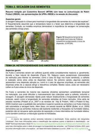 10
TEMA 2. SECAGEM DAS SEMENTES
Resumo redigido por Costantino Bonomi (MTSN) com base na comunicação de Robin
Probert (RBGK), nas apresentações de UPM e NBGB e na sessão de discussão.
Aspectos gerais
A secagem adequada é a chave para maximizar a longevidade das sementes da maioria das espécies
.
É frequentemente assumido que a temperatura baixa é o factor que determina a longevidade das
sementes. Contudo, os modelos empíricos demonstram a importância da secagem na conservação
das sementes a longo prazo.
TEMA 2A. HETEROGENEIDADE DAS AMOSTRAS E VELOCIDADE DE SECAGEM
Aspectos gerais
Os frutos e sementes devem ser colhidos quando estão completamente maduros e, geralmente,
durante a fase natural de dispersão (Figura 10). Nalguns casos excepcionais (necessidade
de estímulos para libertar as sementes, como o caso do fogo nos frutos serotinos), a colheita
é realizada vários anos antes da dispersão natural. No extremo oposto, algumas espécies
apresentam uma dispersão abrupta ou, como é o caso de algumas orquídeas, as sementes são
dispersas antes de a cápsula atingir a deiscência completa. Nestes casos, pode ser necessário
colher os frutos antes do início da dispersão.
Os frutos e sementes da maioria das espécies silvestres apresentam variabilidade temporal
na maturação, que pode dificultar o manuseamento das colecções após a colheita, incluindo a
secagem. A secagem demasiado rápida pode reduzir drasticamente a longevidade de sementes
imaturas, assim como a longevidade de sementes extraídas de frutos carnudos. Uma série de
estudos recentes (Probert et al., 2007 e as revisões de Hay  Probert, 1995 e Probert  Hay,
2000) mostram que a qualidade das sementes é superior quando as sementes e os frutos imaturos
são submetidos a secagem lenta. Além disso, um estudo recente de RBGK (Butler, et al., 2009)
demonstrou que as sementes imaturas são bastante resilientes a flutuações na humidade relativa,
podendo não só recuperar após períodos de exposição a níveis intermédios de humidade relativa,
como também continuar a maturação quando re-hidratadas.
	 A maioria das espécies produz sementes tolerantes à desidratação. Estas espécies são designadas
“ortodoxas”. Para mais informações sobre a classificação das espécies quanto à tolerância à desidratação - ver
MSBP Technical Information Sheet 10 http://www.kew.org/msbp/scitech/publications/10-Desiccation%20tolerance.pdf;
para mais informações sobre o efeito da secagem na longevidade das sementes - ver Pritchard  Dickie, 2003; para
encontrar informação sobre uma espécie – ver Seed Information Database (Liu et al., 2008: http://kew.org/data/sid/).
Figura 10 Sequência temporal de
maturação dos frutos de Fritillaria
tubaeformis evidenciando o início da
dispersão. (© MTSN)
8 Julho 16 Julho 29 Julho
 