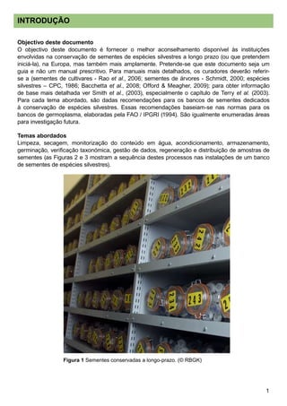INTRODUÇÃO
Objectivo deste documento
O objectivo deste documento é fornecer o melhor aconselhamento disponível às instituições
envolvidas na conservação de sementes de espécies silvestres a longo prazo (ou que pretendem
iniciá-la), na Europa, mas também mais amplamente. Pretende-se que este documento seja um
guia e não um manual prescritivo. Para manuais mais detalhados, os curadores deverão referir-
se a (sementes de cultivares - Rao et al., 2006; sementes de árvores - Schmidt, 2000; espécies
silvestres – CPC, 1986; Bacchetta et al., 2008; Offord  Meagher, 2009); para obter informação
de base mais detalhada ver Smith et al., (2003), especialmente o capítulo de Terry et al. (2003).
Para cada tema abordado, são dadas recomendações para os bancos de sementes dedicados
à conservação de espécies silvestres. Essas recomendações baseiam-se nas normas para os
bancos de germoplasma, elaboradas pela FAO / IPGRI (1994). São igualmente enumeradas áreas
para investigação futura.
Temas abordados
Limpeza, secagem, monitorização do conteúdo em água, acondicionamento, armazenamento,
germinação, verificação taxonómica, gestão de dados, regeneração e distribuição de amostras de
sementes (as Figuras 2 e 3 mostram a sequência destes processos nas instalações de um banco
de sementes de espécies silvestres).
Figura 1 Sementes conservadas a longo-prazo. (© RBGK)
 