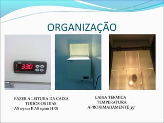 ORGANIZAÇÃO




FAZER A LEITURA DA CAIXA      CAIXA TERMICA
      TODOS OS DIAS            TEMPERATURA
AS 07:00 E AS 19:00 HRS    APROXIMADAMENTE 35°
 