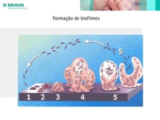 Formação de biofilmes
 