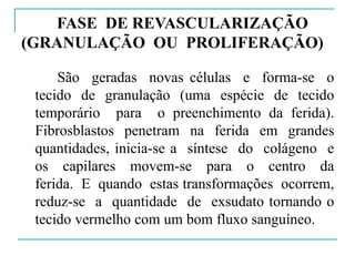 FASE DE REVASCULARIZAÇÃO
(GRANULAÇÃO OU PROLIFERAÇÃO)
São geradas novas células e forma-se o
tecido de granulação (uma espécie de tecido
temporário para o preenchimento da ferida).
Fibrosblastos penetram na ferida em grandes
quantidades, inicia-se a síntese do colágeno e
os capilares movem-se para o centro da
ferida. E quando estas transformações ocorrem,
reduz-se a quantidade de exsudato tornando o
tecido vermelho com um bom fluxo sanguíneo.
 