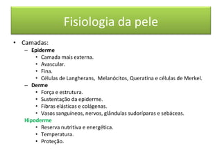 Fisiologia da pele
• Camadas:
– Epiderme
• Camada mais externa.
• Avascular.
• Fina.
• Células de Langherans, Melanócitos, Queratina e células de Merkel.
– Derme
• Força e estrutura.
• Sustentação da epiderme.
• Fibras elásticas e colágenas.
• Vasos sanguíneos, nervos, glândulas sudoríparas e sebáceas.
Hipoderme
• Reserva nutritiva e energética.
• Temperatura.
• Proteção.
 