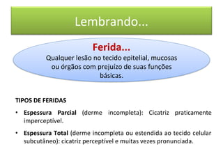 Lembrando...
Ferida...
Qualquer lesão no tecido epitelial, mucosas
ou órgãos com prejuízo de suas funções
básicas.
TIPOS DE FERIDAS
• Espessura Parcial (derme incompleta): Cicatriz praticamente
imperceptível.
• Espessura Total (derme incompleta ou estendida ao tecido celular
subcutâneo): cicatriz perceptível e muitas vezes pronunciada.
 