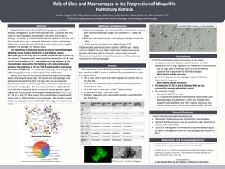 Role of Clots and Macrophages in the Progression of Idiopathic
Pulmonary Fibrosis
Jordon Aragon, Cole Mills, Moriah Glennon, Kadi Horn, Catie Pearson, Nikko Garcia, Dr. Alan Schenkel PhD.
Colorado State University: Department of Microbiology, Immunology and Pathology
Idiopathic Pulmonary Fibrosis (IPF) is a progressive and fatal
disease, killing about 30,000 Americans per year. Currently, the only
cure is a lung transplant, though there are some new drugs in
testing. Currently, it is believed that alveolar epithelial cells die, and
the alveolar structure is damaged. Attempts to repair the damage
lead to scar tissue (fibrosis). But little is known about what happens
between the damage and fibrosis steps.
Our hypothesis is that after alveoli structures become damaged,
bleeding occurs leaving blood clots in the alveolar spaces.
Macrophages in the lung start to eat the red blood cells to clean up
the alveoli. They also make repair cytokine signals, like TGF-β. Due
to the chronic nature of IPF, the alveoli continue to bleed so the
macrophages keep eating the red blood cells and continuously
produce the cytokines, IL-10 and TGF-β which leads to scar tissue
formation and fibrosis. It is not known how long macrophages live
after eating blood clots or what signals they might make.
Mouse bone marrow and bronchoalveolar lavage macrophages
were cultured with blood clots. We found that macrophages only
phagocytosed old blood clots (2-3 days old) and accumulated
fluorescent proteins, which may be Ym1, a marker of alternatively
activated macrophages. We are using quantitative digital droplet
PCR (ddPCR) to examine all the kinetics of several possible repair
signals like CD163 (used for hemoglobin phagocytosis), Ym1, IL-10,
IL-17A, IL-4, and TGF-β at several time points after incubation with
blood clots in different types of macrophages. We are also going to
study macrophage function and health after long-term exposure to
clots.
Abstract
This experiment shows that macrophages harvested from vivo,
and exposed to RBC’s produce cytokines that promote tissue repair
and regeneration.
● TGF-β was seen in cells that were exposed to clot but only on
the first day.
● IL10 was also detected only in cells that were exposed to the
blood clots as well.
● YM1 was seen in cells only in the 7th
day of testing.
● IL4 was seen in day 7 cells with clots.
● Arginase 1 was also only expressed in only the controls of the
day 1 and day 7.
● Mouse macrophages were harvested from mouse bone marrow
and via bronchoalveolar lavage and cultivated in 2-3 day old
clots.
● RNA was extracted from the macrophages and then made into
cDNA.
● cDNA was then analyzed with digital droplet PCR.
Digital droplet polymerase chain reaction (ddPCR) uses oils to
conduct the PCR process. DNA is replicated inside of very small
droplets which are then fed through a device that can read
fluorescence levels that indicate how much test DNA was being
replicated by the macrophages.
Methods and Materials
From this experiment sever conclusions can be drawn:
● Arg 1 presence in the day 1 and day 7 controls is a little
paradoxical due to Arg1 signalling for mediation of inflammation
○ due to Arg1 gene is normally seen as an inflammatory
cytokine that is expressed by M2 macrophages.
○ More testing will be necessary
● IL4 is normally seen in macrophages trying to induce an
inflammatory response.
○ More testing will be necessary.
● The detection of TGF-β and IL10 shows that we are
successfully causing a phenotypic switch.
● The detection of Ym1:
○ Correlated with IPF in mice
○ Is a fluorescent molecule that fluoresces when inside clots.
○ Because it was only detected in the 7 day samples, this
supports our hypothesis that YM1 crystals only occur in a
chronic environment, where macrophages prefer old clots.
Conclusions
Results
Future Directions
Future directions for experimentation are:
● Testing the cytokine response of interstitial macrophages.
● Testing if the fluorescence may be caused by a RBC digestion by
product rather than YM1.
● Focus our investigation on whole transcriptome sequencing to
see what is upregulated when the macrophages are exposed to
RBCs.
References and Acknowledgements
● Neil Ahluwalia; Barry S. Shea; Andrew M. Tager; Am J Respir Crit Care Med 190:867-878
(2014)S.Y. Tan & W. Weninger Nature Immunol. 17:1335-1336 (2016).
● Schenkel, Alan R. et al. “Different Susceptibilities of PECAM-Deficient Mouse Strains to
Spontaneous Idiopathic Pneumonitis.” Experimental and molecular pathology 81.1
(2006): 23–30. PMC. Web. 29 Mar. 201
Acknowledgements:
Dr. Alan Schenkel, Wilusz Lab, John Anderson, Nicholas Garcia, Catie Pearson
Possible YM1 Crystals in macrophages
Fluorescence in Macrophages
 