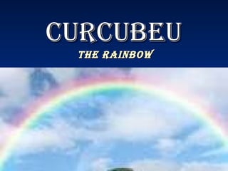 CURCUBEU THE RAINBOW 