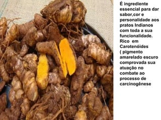 É ingrediente essencial para dar sabor,cor e personalidade aos pratos Indianos com toda a sua funcionalidade. Rico  em Carotenóides ( pigmento amarelado escuro comprovada sua  atuação no combate ao processo de carcinogênese 