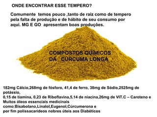 ONDE ENCONTRAR ESSE TEMPERO? Comumente  temos pouco ,tanto de raiz como de tempero pela falta de produção e de hábito de seu consumo por aqui. MG E GO  apresentam boas produções.  182mg Cálcio,268mg de fósforo, 41,4 de ferro, 38mg de Sódio,2525mg de potássio, 0,15 de tiamina, 0,23 de Riboflavina,5,14 de niacina,26mg de VIT.C – Caroteno e Muitos óleos essenciais medicinais como:Bisabolano,Linalol,Eugenol,Cúrcumerona e por fim polissacarídeos nobres úteis aos Diabéticos COMPOSTOS QUÍMICOS  DA  CÚRCUMA LONGA 