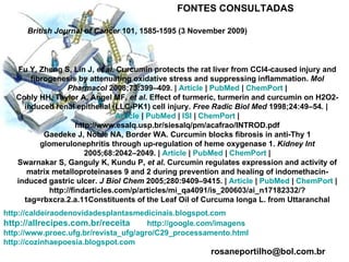 FONTES CONSULTADAS British Journal of Cancer  101, 1585-1595 (3 November 2009) Fu Y, Zheng S, Lin J,  et al . Curcumin protects the rat liver from CCl4-caused injury and fibrogenesis by attenuating oxidative stress and suppressing inflammation.  Mol Pharmacol  2008;73:399–409. |  Article  |  PubMed  |  ChemPort  | Cohly HH, Taylor A, Angel MF,  et al . Effect of turmeric, turmerin and curcumin on H2O2-induced renal epithelial (LLC-PK1) cell injury.  Free Radic Biol Med  1998;24:49–54. |  Article  |  PubMed  |  ISI  |  ChemPort  | http://www.esalq.usp.br/siesalq/pm/acafrao/INTROD.pdf Gaedeke J, Noble NA, Border WA. Curcumin blocks fibrosis in anti-Thy 1 glomerulonephritis through up-regulation of heme oxygenase 1.  Kidney Int  2005;68:2042–2049. |  Article  |  PubMed  |  ChemPort  | Swarnakar S, Ganguly K, Kundu P,  et al . Curcumin regulates expression and activity of matrix metalloproteinases 9 and 2 during prevention and healing of indomethacin-induced gastric ulcer.  J Biol Chem  2005;280:9409–9415. |  Article  |  PubMed  |  ChemPort  | http://findarticles.com/p/articles/mi_qa4091/is_200603/ai_n17182332/?tag=rbxcra.2.a.11Constituents of the Leaf Oil of Curcuma longa L. from Uttaranchal http://caldeiraodenovidadesplantasmedicinais.blogspot.com http://allrecipes.com.br/receita   http://google.com/imagens http://www.proec.ufg.br/revista_ufg/agro/C29_processamento.html http://cozinhaepoesia.blogspot.com [email_address] 