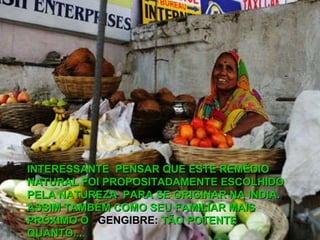 INTERESSANTE  PENSAR QUE ESTE REMÉDIO NATURAL FOI PROPOSITADAMENTE ESCOLHIDO PELA NATUREZA  PARA SE ORIGINAR NA INDIA .  ASSIM TAMBÉM COMO SEU FAMILIAR MAIS   PRÓXIMO O   GENGIBRE:  TÃO POTENTE QUANTO.... 