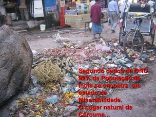 Segundo dados da ONU 92% da População da Índia se encontra  em estado de Miserabilidade. O Lugar natural da Cúrcuma... 