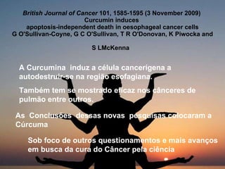 British Journal of Cancer  101, 1585-1595 (3 November 2009)   Curcumin induces  apoptosis-independent death in oesophageal cancer cells G O'Sullivan-Coyne, G C O'Sullivan, T R O'Donovan, K Piwocka and S LMcKenna   A Curcumina  induz a célula cancerígena a autodestruir-se na região esofagiana. Também tem se mostrado eficaz nos cânceres de pulmão entre outros. As  Conclusões  dessas novas  pesquisas colocaram a Cúrcuma Sob foco de outros questionamentos e mais avanços em busca da cura do Câncer pela ciência 