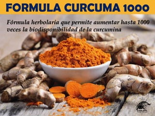 Fórmula herbolaria que permite aumentar hasta 1000
veces la biodisponibilidad de la curcumina
FORMULA CURCUMA 1000
 