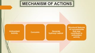 MECHANISM OF ACTIONS
Antioxidant
Activity
Curcumin
Generate
hydroxyl radical
Structural features
of curcuminoids
that may
contribute to
antioxidant
activity
 
