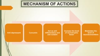 MECHANISM OF ACTIONS
Anti depressant Curcumin
Act as anti
inflammatory and
anti oxidant
Increase the level
of neurotrophic
factor
Modulates the
level of
neurotransmitters
 
