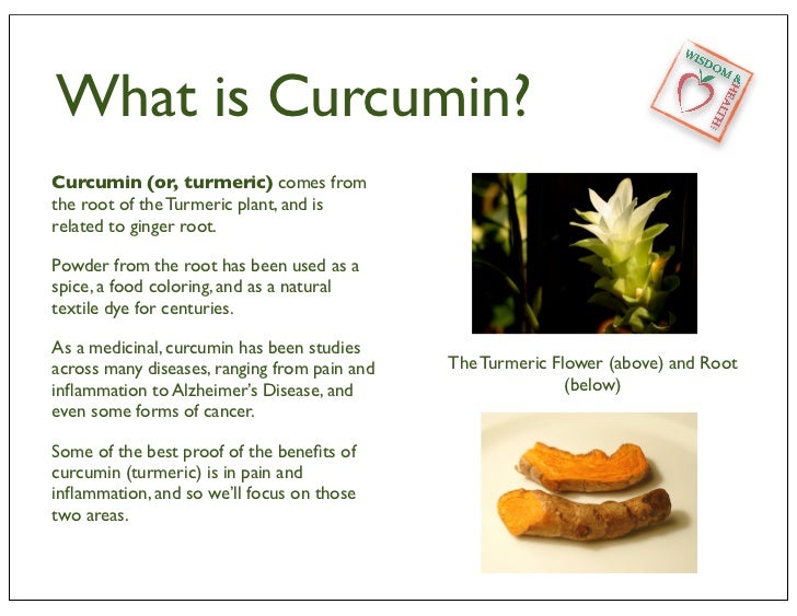 What Is turmeric curcumin?