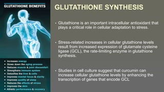 glutathione iv richmond va The Benefits of Getting IV Drip Treatment for Skin Brightening