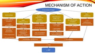 MECHANISM OF ACTION
 