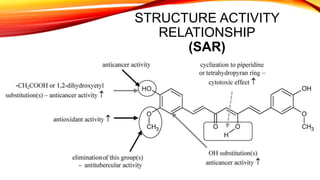 STRUCTURE ACTIVITY
RELATIONSHIP
(SAR)
 