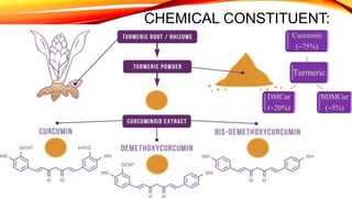 CHEMICAL CONSTITUENT:
Turmeric
Curcumin
(75%)
BDMCur
(5%)
DMCur
(20%)
 