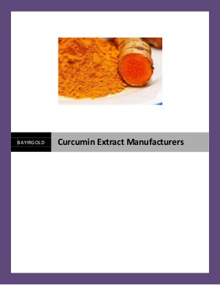 BAYIRGOLD Curcumin Extract Manufacturers
 