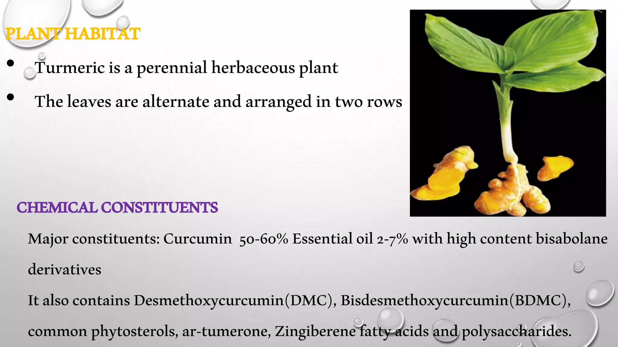 PLANTHABITAT
• Turmericisaperennialherbaceousplant
• Theleavesarealternateandarrangedintworows
CHEMICALCONSTITUENTS
Majorconstituents:Curcumin 50-60%Essentialoil2-7%withhighcontentbisabolane
derivatives
ItalsocontainsDesmethoxycurcumin(DMC), Bisdesmethoxycurcumin(BDMC),
commonphytosterols,ar-tumerone,Zingiberenefattyacidsandpolysaccharides.
 