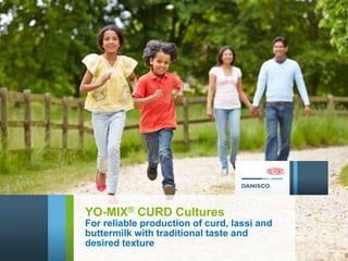 YO-MIX® CURD Cultures
For reliable production of curd, lassi and
buttermilk with traditional taste and
desired texture
 