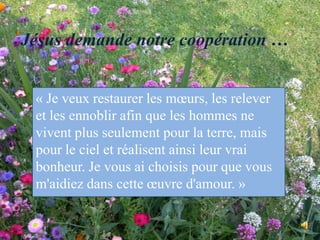 Jésus demande notre coopération …« Je veux restaurer les mœurs, les relever et les ennoblir afin que les hommes ne vivent plus seulement pour la terre, mais pour le ciel et réalisent ainsi leur vrai bonheur. Je vous ai choisis pour que vous m'aidiez dans cette œuvre d'amour. »