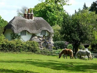 cute cottages