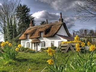 cute cottages