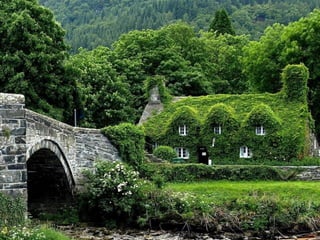cute cottages
