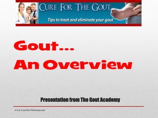 Gout…
An Overview

                  Presentation from The Gout Academy
www.CureForTheGout.net
 
