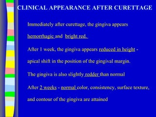 CLINICAL APPEARANCE AFTER CURETTAGE
Immediately after curettage, the gingiva appears
hemorrhagic and bright red.
After 1 week, the gingiva appears reduced in height -
apical shift in the position of the gingival margin.
The gingiva is also slightly redder than normal
After 2 weeks - normal color, consistency, surface texture,
and contour of the gingiva are attained
 